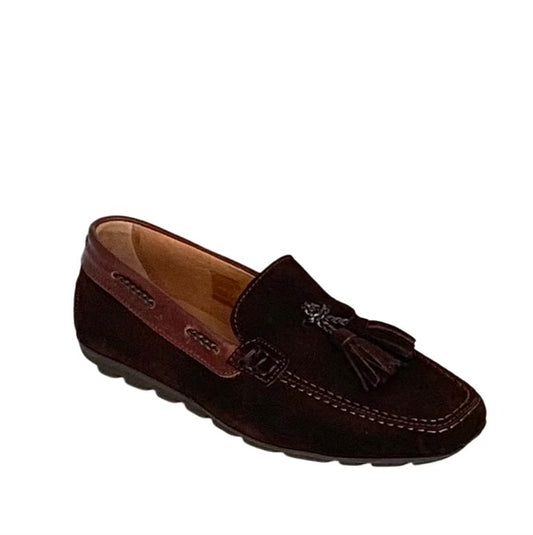 ELCI® | Sapato Homem; Cor Castanho | Cod SH647