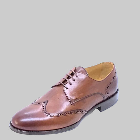 PERKS® | Sapato Homem; Cor Castanho | Cod MH341